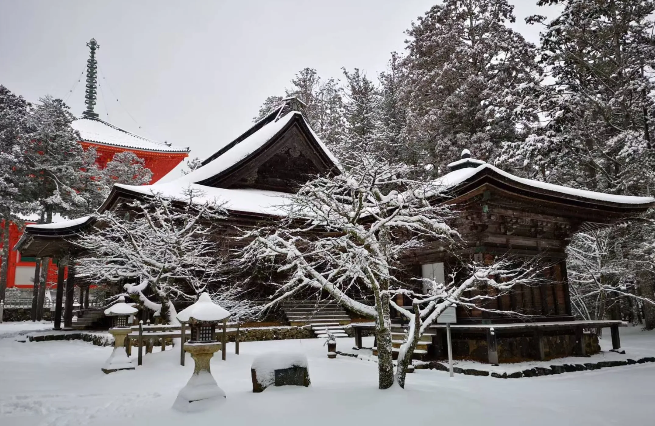 日本 高野山